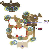 SkyCuty monk wep farm build