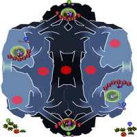 CR2 Campaign with Hermit