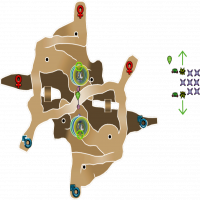 NMHC Lover's Paradise Survival