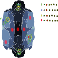 Ruthless CR2 Campaign