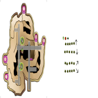 super secret seeds strat