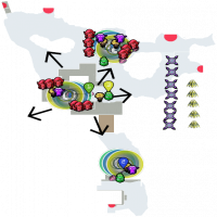 Wintermire Armor run, MM and AFKable