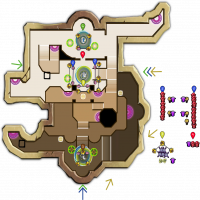 Citadel NMHC Survival